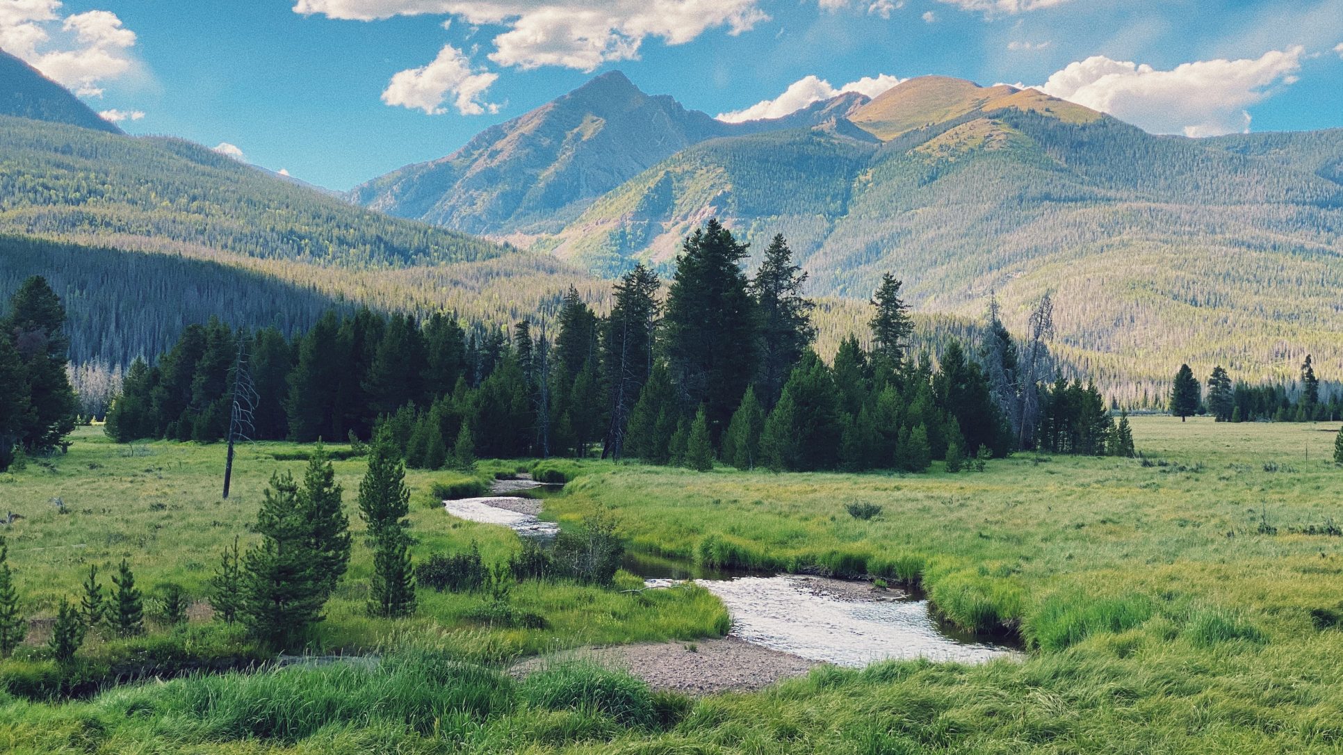 nordic landscape